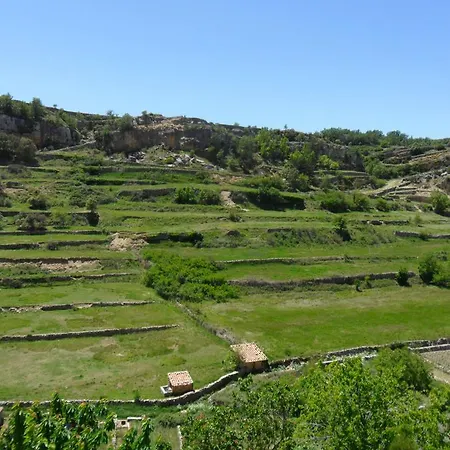 Dalias Con Hidromasaje