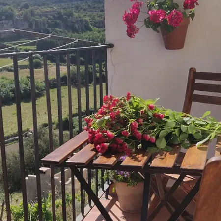 Dalias Con Hidromasaje Casa de Campo Villafranca del Cid