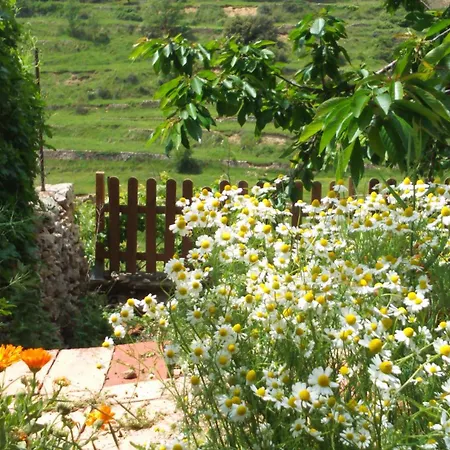 Dalias Con Hidromasaje Vilafranca (Villafranca del Cid)
