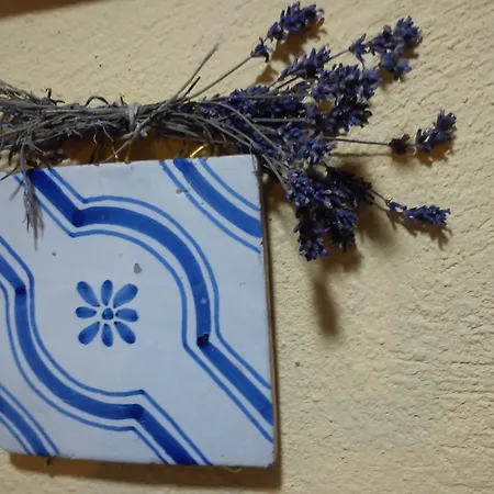 Casa rural Dalias Con Hidromasaje