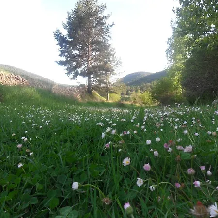 Dalias Con Hidromasaje Casa rural *