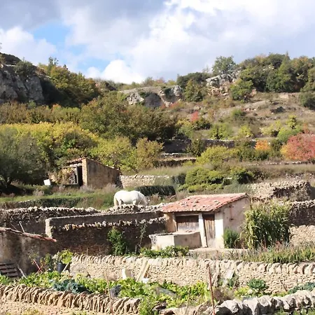Dalias Con Hidromasaje Casa de Campo Villafranca del Cid