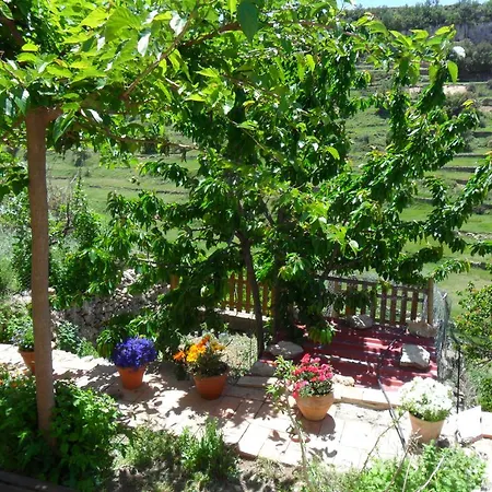Dalias Con Hidromasaje