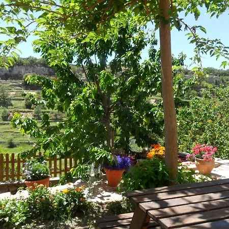 Dalias Con Hidromasaje Vilafranca (Villafranca del Cid)