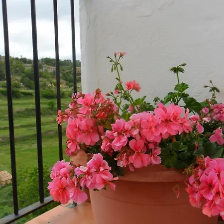 Dalias Con Hidromasaje Vilafranca (Villafranca del Cid)
