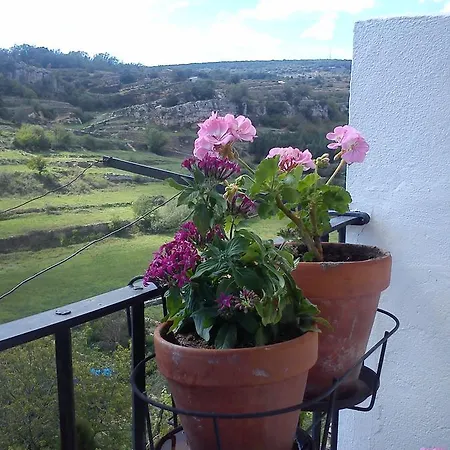 Dalias Con Hidromasaje *