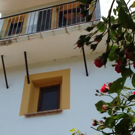 Dalias Con Hidromasaje *